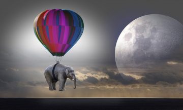 elephant, weightless, balloon